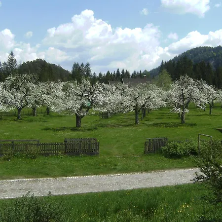 Séjour à la ferme Binterhof Familie Mosser Berg im Drautal