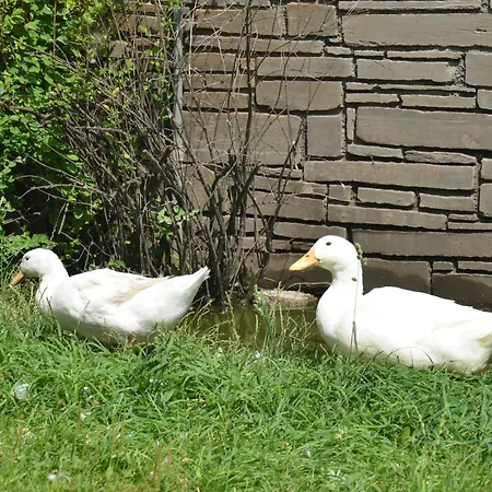 Séjour à la ferme Binterhof Familie Mosser *